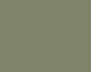 Olive RAL 6013