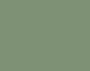 Salvia/Green RAL 6021